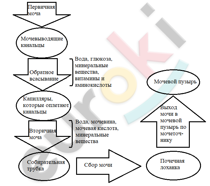 A picture containing text, diagram, font, pattern Description automatically generated