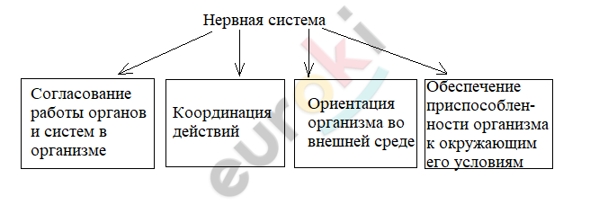 A picture containing text, font, diagram, line Description automatically generated