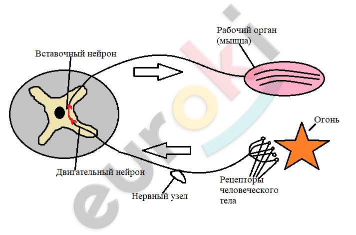 A picture containing clipart, diagram, cartoon Description automatically generated