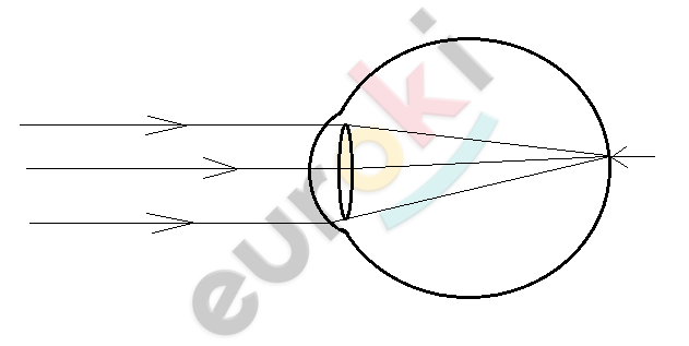 A drawing of a light bulb Description automatically generated with low confidence