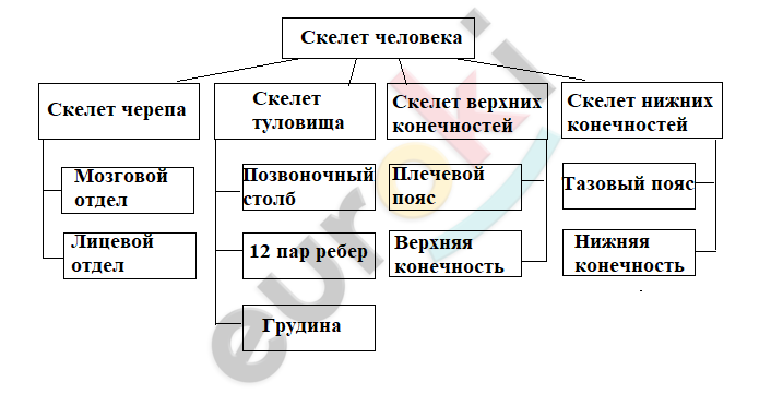 A picture containing text, screenshot, font, diagram Description automatically generated