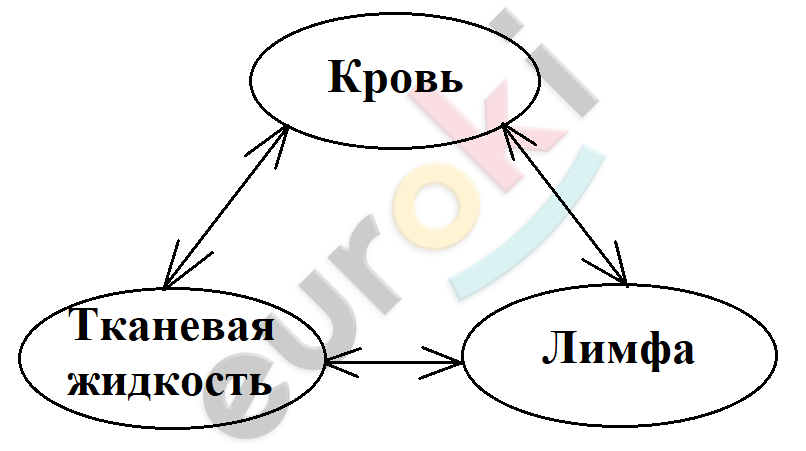A picture containing text, sketch, circle, diagram Description automatically generated
