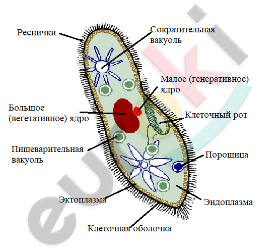 Diagram Description automatically generated