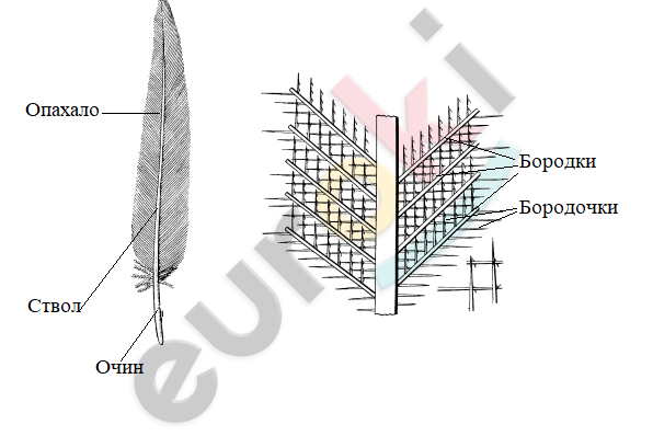 Diagram Description automatically generated