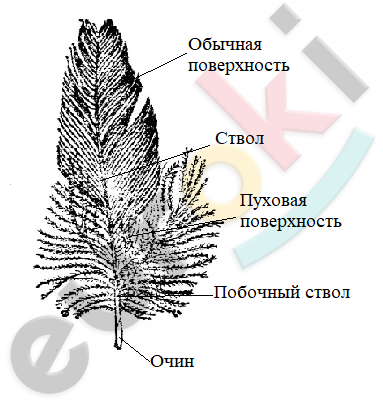 Diagram Description automatically generated