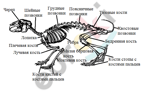 Diagram Description automatically generated