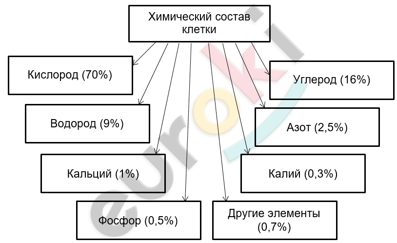 Diagram Description automatically generated