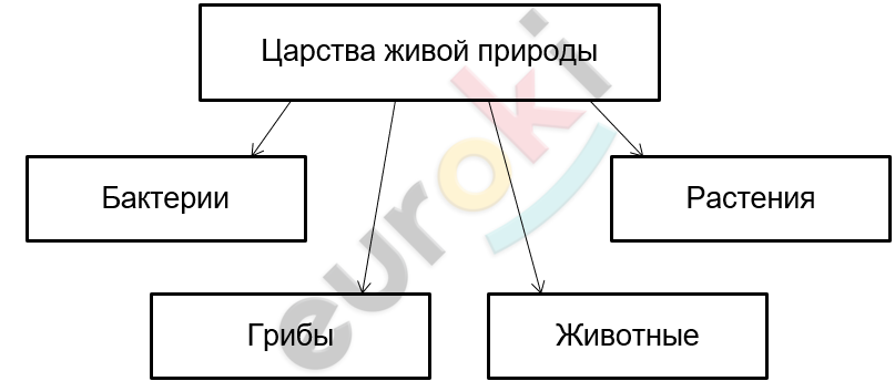 Diagram Description automatically generated