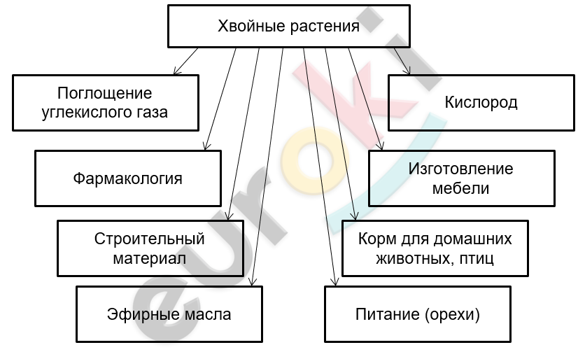 Diagram Description automatically generated