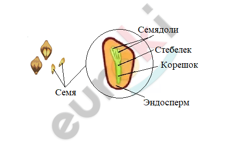 Diagram Description automatically generated