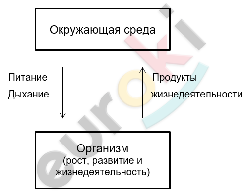 Diagram Description automatically generated