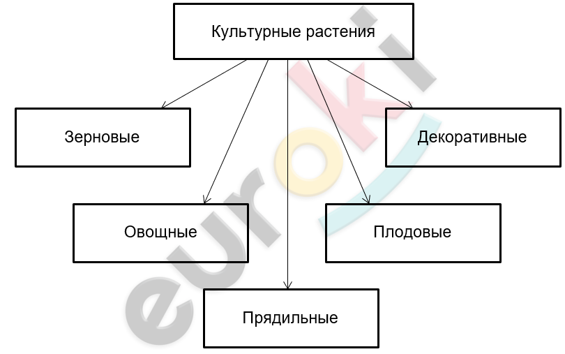 Биология 5 класс 2023 год 21 параграф