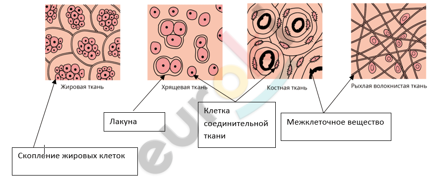 A picture containing pattern, sketch, drawing, diagram Description automatically generated