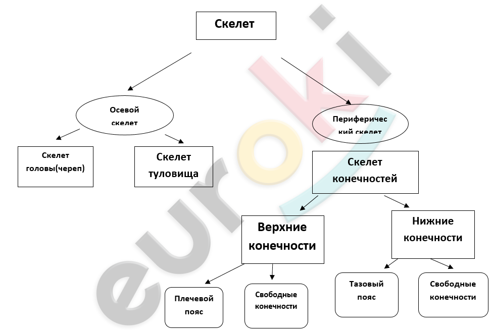 A picture containing text, diagram, screenshot, font Description automatically generated