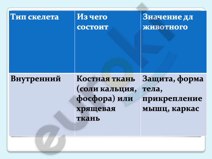 Chart, treemap chart Description automatically generated