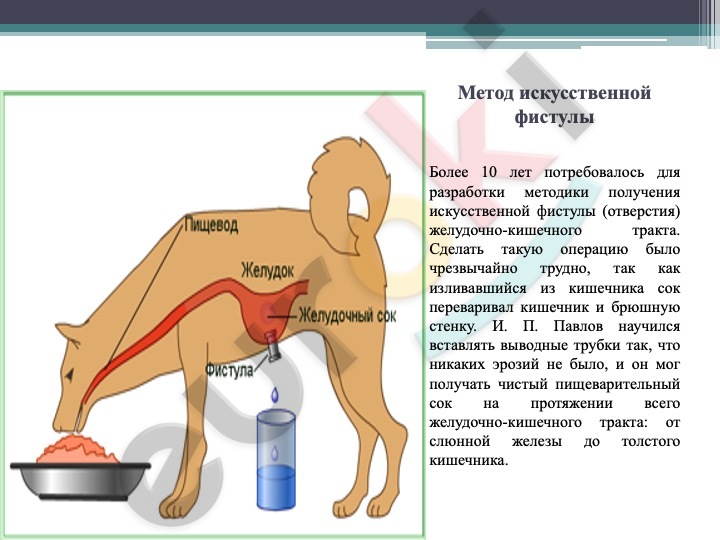 Graphical user interface, text Description automatically generated