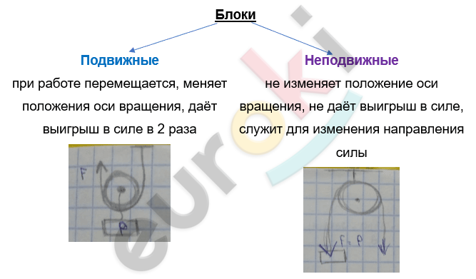 Изображение выглядит как текст, снимок экрана, диаграмма, круг Автоматически созданное описание