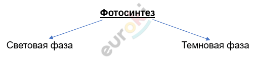 Изображение выглядит как текст, линия, Шрифт, снимок экрана Автоматически созданное описание