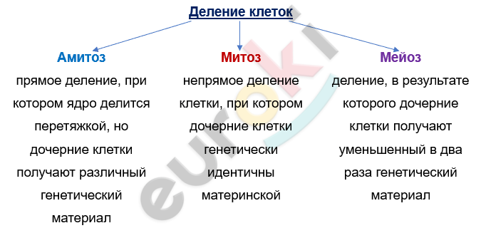 Изображение выглядит как текст, снимок экрана, Шрифт, линия Автоматически созданное описание