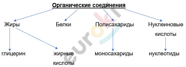 Изображение выглядит как текст, линия, Шрифт, диаграмма Автоматически созданное описание