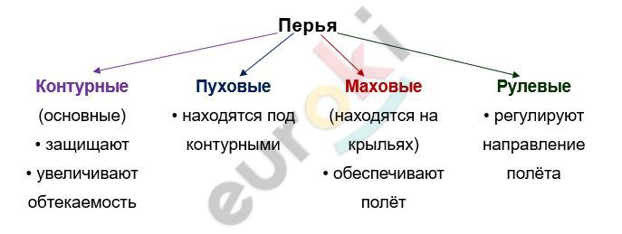 Изображение выглядит как диаграмма Автоматически созданное описание