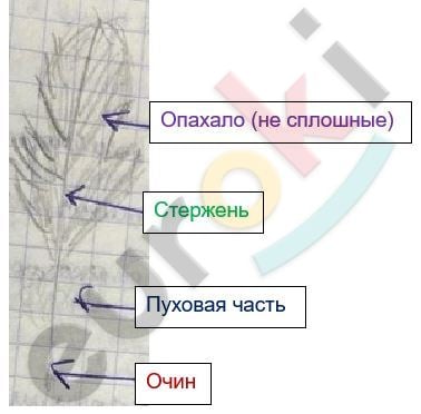 Изображение выглядит как диаграмма Автоматически созданное описание