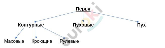 Изображение выглядит как диаграмма Автоматически созданное описание