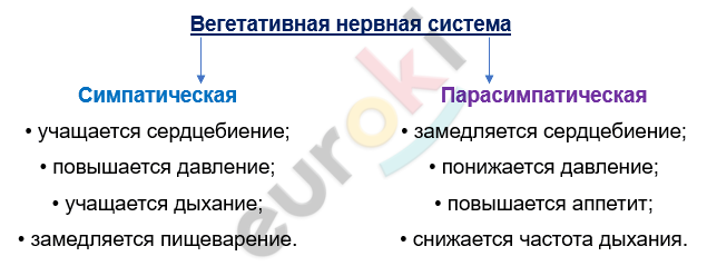 Изображение выглядит как текст, снимок экрана, Шрифт Автоматически созданное описание