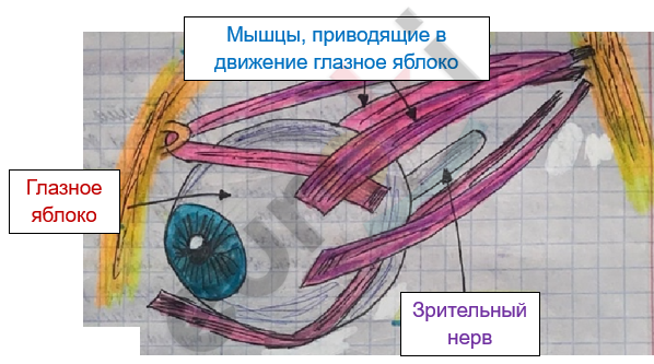 Изображение выглядит как текст, Детское искусство, зарисовка, искусство Автоматически созданное описание