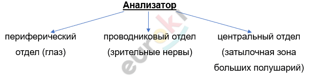 Изображение выглядит как текст, линия, Шрифт, снимок экрана Автоматически созданное описание