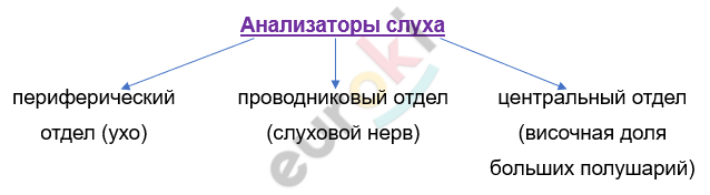 Изображение выглядит как текст, Шрифт, снимок экрана, линия Автоматически созданное описание