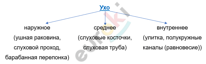 Изображение выглядит как текст, линия, Шрифт, снимок экрана Автоматически созданное описание