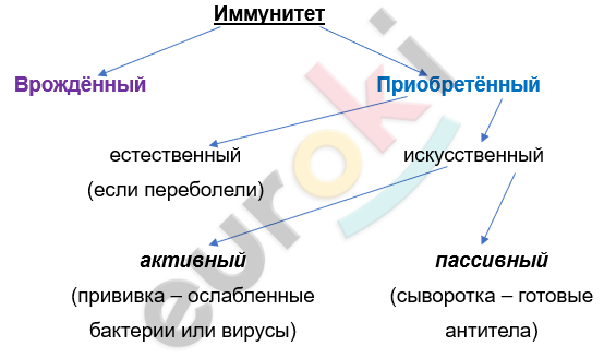 Изображение выглядит как текст, снимок экрана, линия, Шрифт Автоматически созданное описание