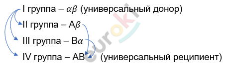 Изображение выглядит как текст, Шрифт, снимок экрана, линия Автоматически созданное описание