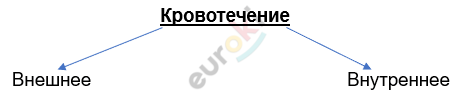 Изображение выглядит как линия, текст, Шрифт, снимок экрана Автоматически созданное описание