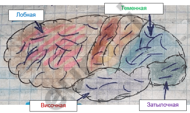 Изображение выглядит как текст, диаграмма, снимок экрана, зарисовка Автоматически созданное описание