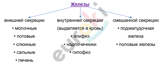 Изображение выглядит как текст, снимок экрана, Шрифт, линия Автоматически созданное описание