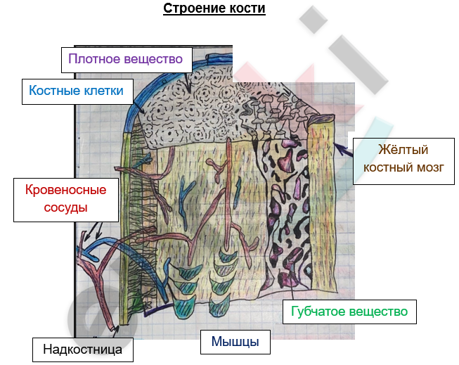 Изображение выглядит как текст, снимок экрана, диаграмма, карта Автоматически созданное описание