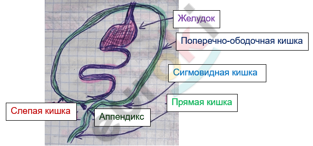 Изображение выглядит как текст, снимок экрана, дизайн Автоматически созданное описание