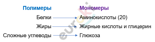 Изображение выглядит как текст, снимок экрана, Шрифт, линия Автоматически созданное описание