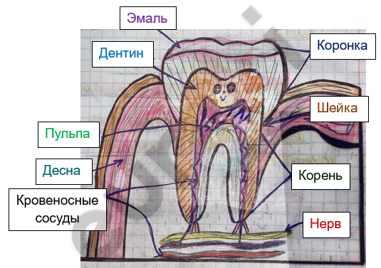 Изображение выглядит как зарисовка, иллюстрация, мультфильм, текст Автоматически созданное описание