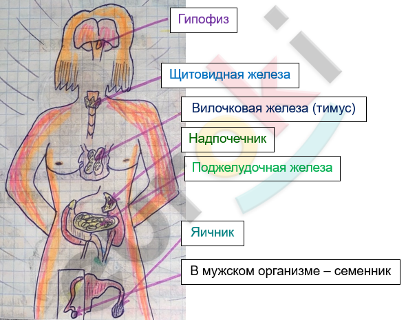 Изображение выглядит как текст, рисунок, зарисовка, диаграмма Автоматически созданное описание