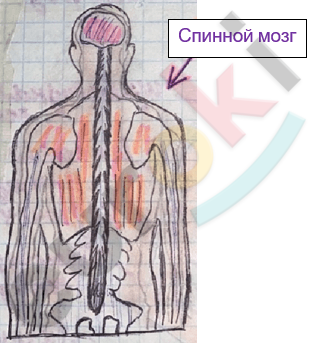 Изображение выглядит как зарисовка, рисунок, Детское искусство, искусство Автоматически созданное описание