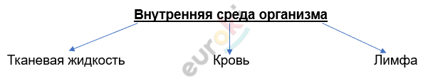 Изображение выглядит как текст, Шрифт, линия, снимок экрана Автоматически созданное описание