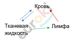 Изображение выглядит как текст, Шрифт, линия, снимок экрана Автоматически созданное описание