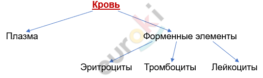 Изображение выглядит как текст, линия, диаграмма, Шрифт Автоматически созданное описание