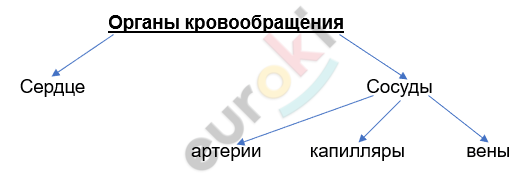 Изображение выглядит как текст, линия, снимок экрана, Шрифт Автоматически созданное описание