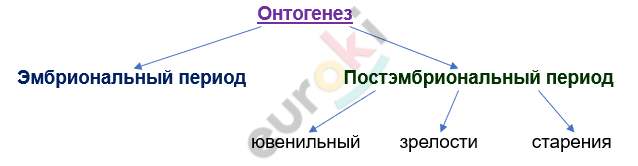 Изображение выглядит как текст, линия, Шрифт, снимок экрана Автоматически созданное описание