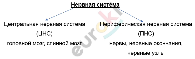 Изображение выглядит как текст, снимок экрана, Шрифт, линия Автоматически созданное описание