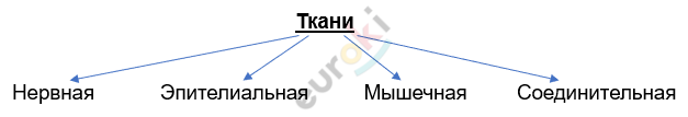 Изображение выглядит как линия, текст, Шрифт, снимок экрана Автоматически созданное описание